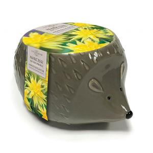 Novelty Hedgehog Planter (3 Bulbs)