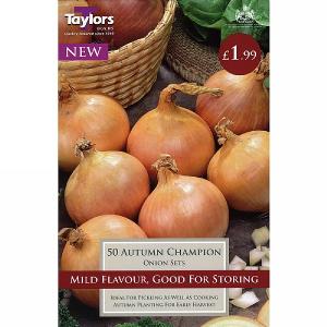 Onion Autumn Champion (50 Sets)