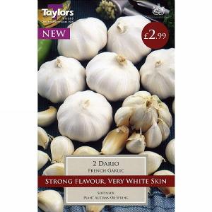French Garlic Dario (2 Bulbs)