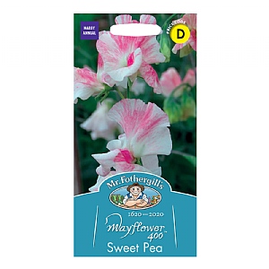 Mr Fothergills Sweet Pea Mayflower 400  Seeds