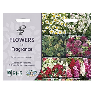 RHS Flowers For Fragrance Collection Seeds