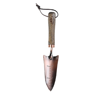 Fallen Fruits Copper Plated Trowel