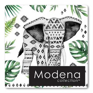 Pack of 4 Elephant Coasters