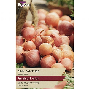 Onion Pink Panther (50 Sets)