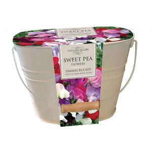 Indoor Sweetpea Planter