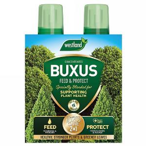 Westland 2 in1 Feed and Protect Buxus 2 x 500ml