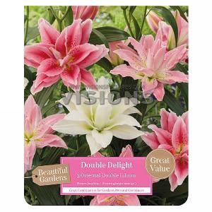 Beautiful Gardens Lilium Oriental Double Delight - 3 Bulbs
