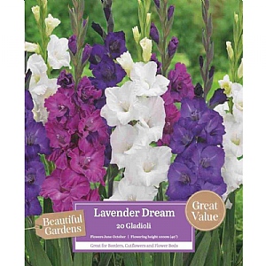 Beautiful Gardens Gladioli Lavender Dream - 20 Bulbs