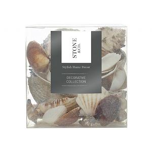 Kelkay Sea Shells 600ml Box