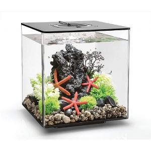 BiOrb Cube 30 Litre MCR Black Aquarium