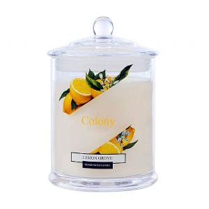 Wax Lyrical Colony Lemon Grove Jar Candle Small