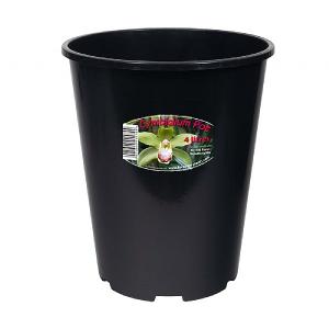 Cymbidium Orchid Pot 4L