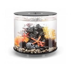 BiOrb Tube 35 MCR Black Aquarium