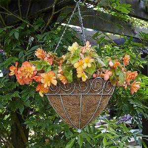 Tom Chambers Scrolled Cone Hanging Basket