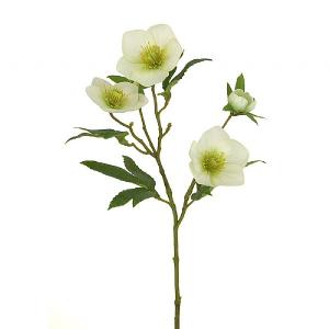 Floralsilk Cream Hellebore Spray