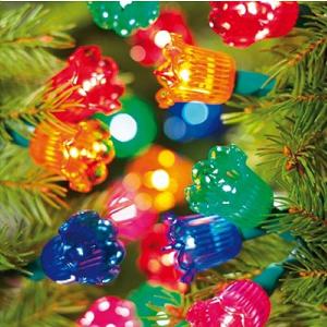 40 Canterbury Belles Multi Colour String Lights