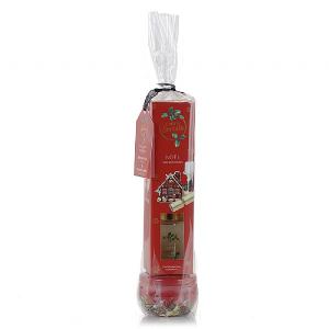 Ashleigh & Burwood Earth Secrets Noel Gift Candle & Diffuser Set