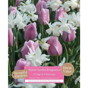 Sweet Garden Fragrance - Tulip & Narcissus Mix (15 Bulbs)