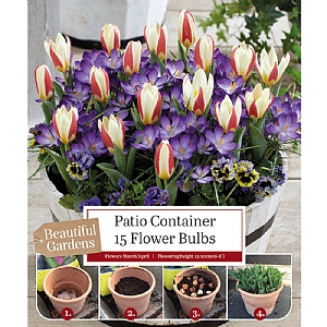 Tulip & Crocus Patio Container Pack (20 Bulbs)
