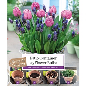 Tulip & Muscari Patio Container Pack (30 Bulbs)