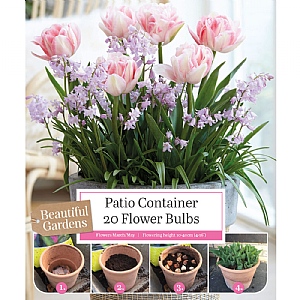 Tulip & Chionodoxa Patio Container Pack (23 Bulbs)