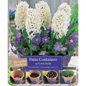 Hyacinth & Anemone Patio Container Pack (15 Bulbs)
