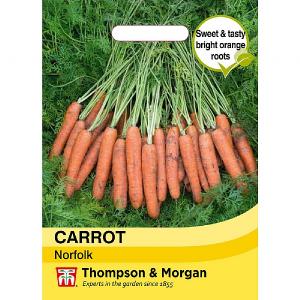 Thompson & Morgan Carrot Norfolk Seeds