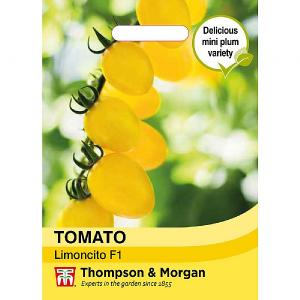 Thompson & Morgan Tomato Limoncito F1 Seeds