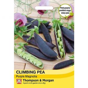 Thompson & Morgan Climbing Pea Purple Magnolia Seeds