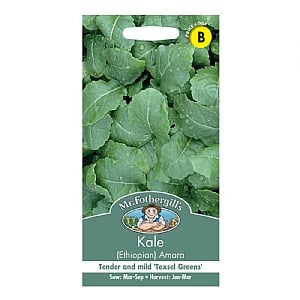 Mr Fothergills Kale (Ethiopian) Amara Seeds