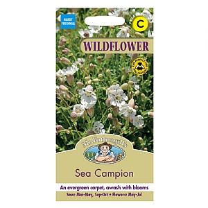 Mr Fothergills Wild Flower Sea Campion Seeds