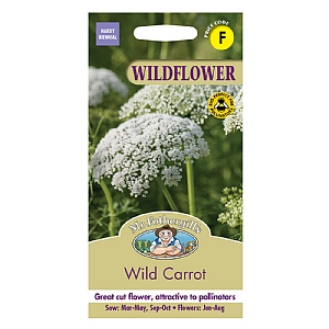 Mr Fothergills Wild Flower Wild Carrot Seeds