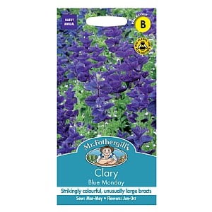 Mr Fothergills Clary Blue Monday Seeds