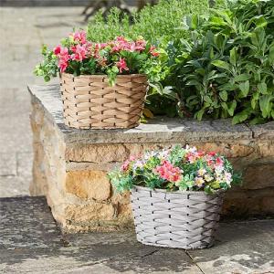 Petal Panniers Planter