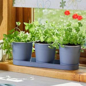 Smart Garden Windowsill Herb Pots - Slate (Pack of 3)