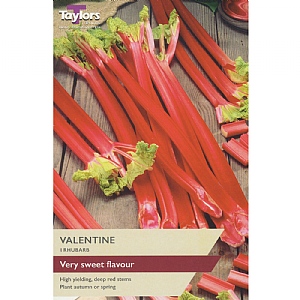 Rhubarb Valentine (1 Crown)