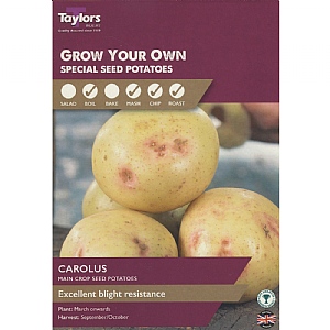 Carolus Main Crop Seed Potatoes Taster Pack (Pack of 10)