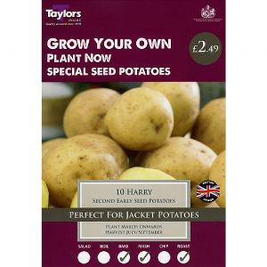 Harry Second Early Seed Potatoes Taster Pack (Pack of 10)