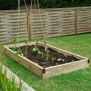 Forest Caledonian Large Raised Bed - 90 x 180cm