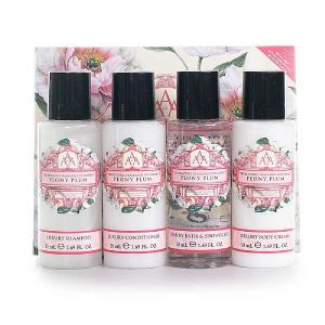 AAA Peony Plum Floral Travel Set