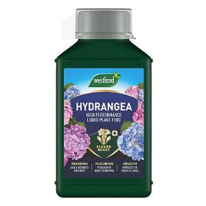 Westland Hydrangea Specialist Liquid Feed 1L