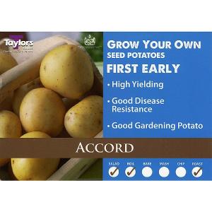 Accord First Early Seed Potatoes (Bag of 15)