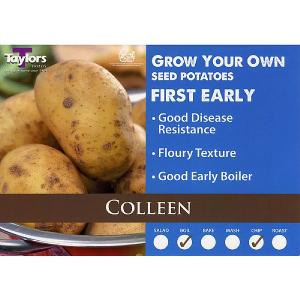 Colleen First Early Seed Potatoes (Bag of 15)