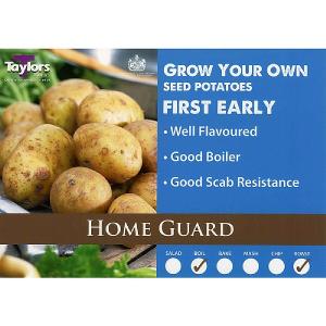 Home Guard First Early Seed Potatoes (Bag of 15)