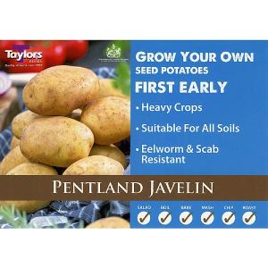 Pentland Javelin First Early Seed Potatoes (Bag of 15)