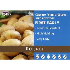 Rocket First Early Seed Potatoes (Bag of 15)