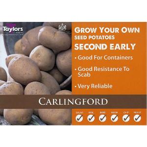 Carlingford Second Early Seed Potatoes (Bag of 15)