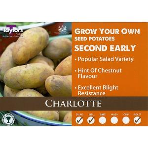 Charlotte Second Early Seed Potatoes (Bag of 15)