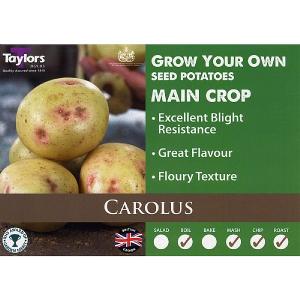 Carolus Main Crop Seed Potatoes (Bag of 15)