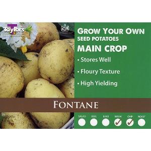 Fontane Main Crop Seed Potatoes (Bag of 15)